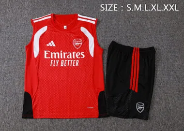 Immagine 24 dell’album 26-27 Canotta da allenamento dell’Arsenal