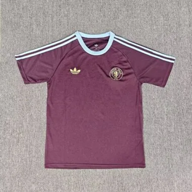 25-26 Aston Villa Soccer T-Shirts