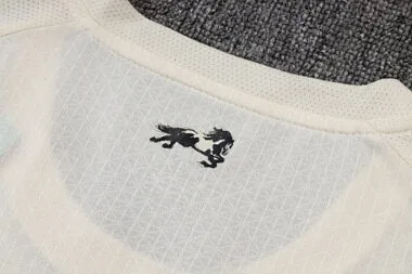 Imagen 13 del álbum 25-26 Manchester City Special Short Sleeve+Pants