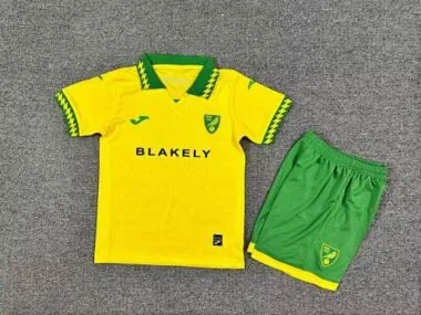 Maillots de football pour enfants Norwich City 25-26 (à domicile)