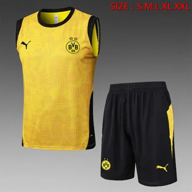 25-26 Dortmund Training Soccer Vest