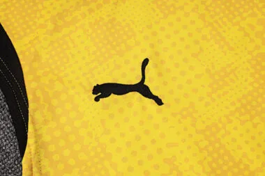 Imagem 7 do álbum 25-26 Dortmund Training Soccer Vest