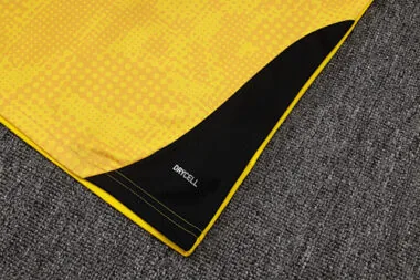 Imagem 8 do álbum 25-26 Dortmund Training Soccer Vest