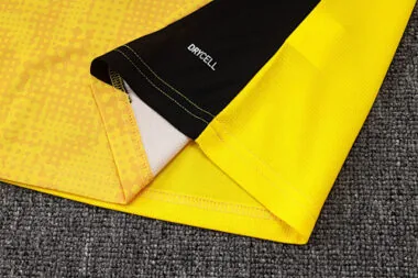 Imagem 10 do álbum 25-26 Dortmund Training Soccer Vest
