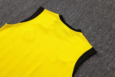 Imagem 11 do álbum 25-26 Dortmund Training Soccer Vest