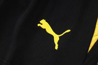 Imagem 17 do álbum 25-26 Dortmund Training Soccer Vest