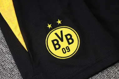 Imagem 18 do álbum 25-26 Dortmund Training Soccer Vest