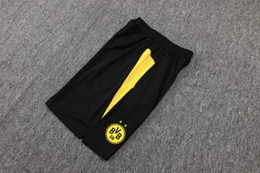 Imagem 22 do álbum 25-26 Dortmund Training Soccer Vest