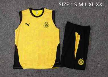 Imagem 23 do álbum 25-26 Dortmund Training Soccer Vest