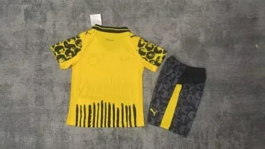 Immagine 2 dell’album 25-26 Maglie da calcio speciali per bambini del Dortmund