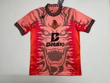 26-27 Porto-trainingsshirts voor voetbal