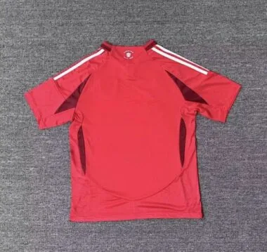 Imagen 2 del álbum 25-26 Louis Home Soccer Jerseys