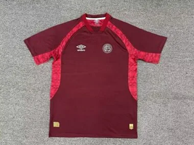 25-26 Lanus Home Soccer Jerseys