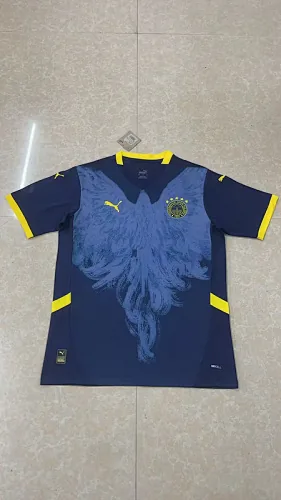 25-26 Fenerbahce Special Soccer Jerseys