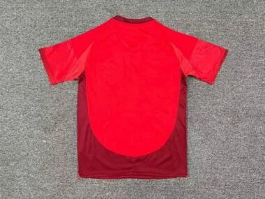 Imagen 2 del álbum 25-26 Toronto Home Soccer Jerseys