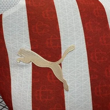 26–27 Chivas-Heimtrikots für Spieler Albumbild 4