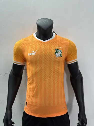 2023 Cote d#039;Ivoire Training Player Version Soccer Jerseys