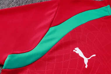 Imagen 8 del álbum 2026 Portugal Long Sleeve tracksuit