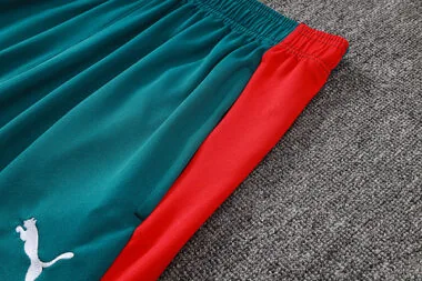 Imagen 12 del álbum 2026 Portugal Long Sleeve tracksuit