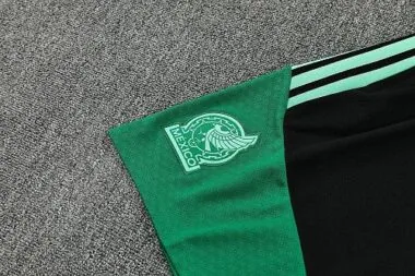 Imagen 9 del álbum 2026 Mexico Training Soccer Suit