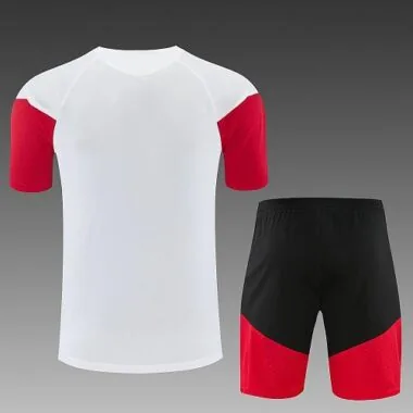 Imagen 3 del álbum Conjunto de entrenamiento de fútbol para niños «Alemania 2026»