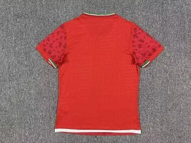 Imagem 5 do álbum 2026 Iran Away Player Version Soccer Jerseys