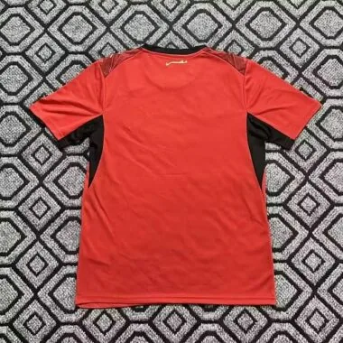 Immagine 2 dell’album 26-27 Egypt Home Soccer Jerseys