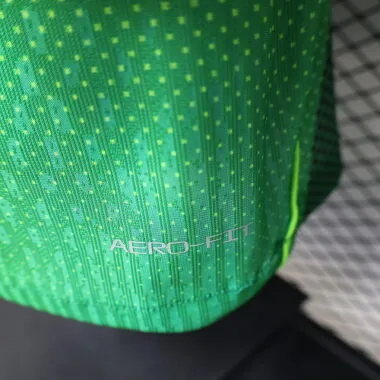 Immagine 2 dell’album 2026 NIgeria Home Player Version Soccer Jerseys