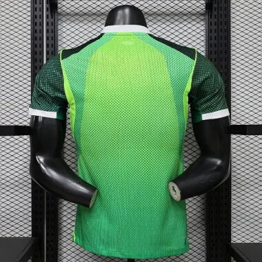 Immagine 3 dell’album 2026 NIgeria Home Player Version Soccer Jerseys