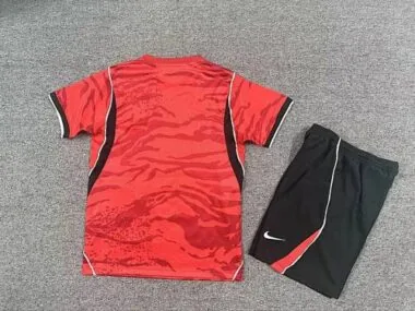 Immagine 2 dell’album 2026 Korea Home Kids Soccer Jerseys
