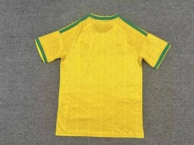 Immagine 2 dell’album 2026 South Africa Home Soccer Jerseys