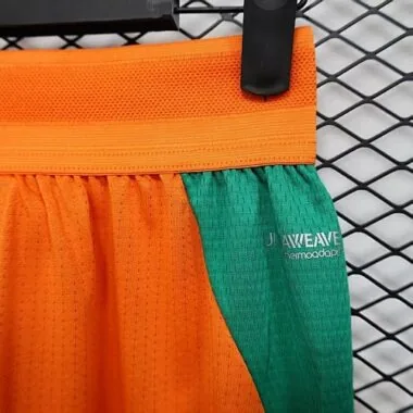 2026 Cote d Ivoire Home Player Version Albumbild 4