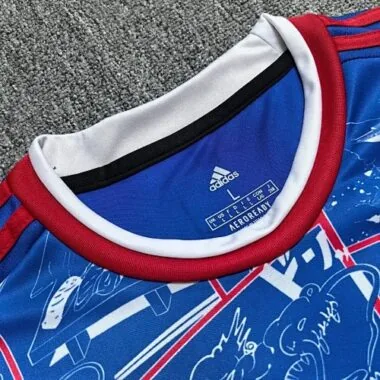 25-26 Dusseldorf Special Soccer Jerseys Albumbild 2