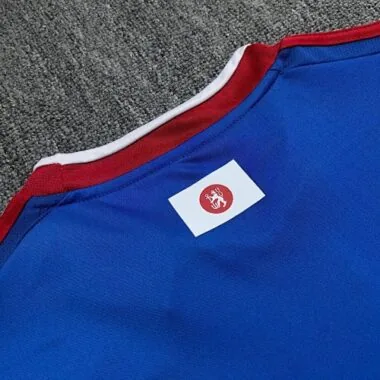 25-26 Dusseldorf Special Soccer Jerseys Albumbild 3