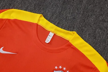 Imagen 3 del álbum 2026 Brazil Training Soccer Suit