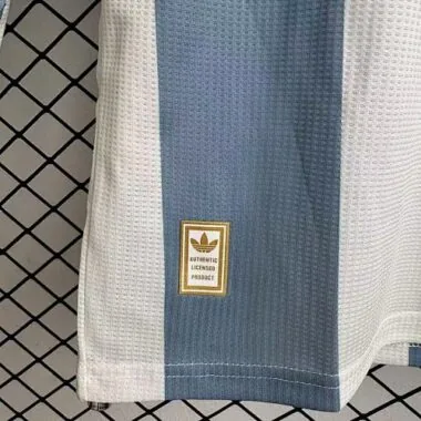 2025 Argentina Soccer Jerseys Albumbild 3