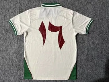 Immagine 2 dell’album 25-26 Palestino Special Soccer Jerseys