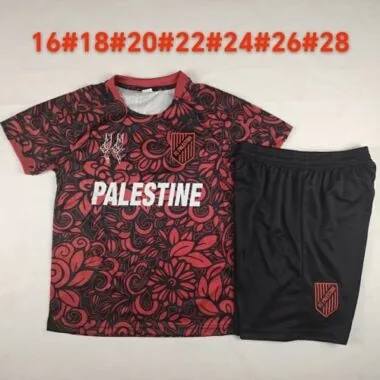 Immagine 3 dell’album 2025 Palestine Special Kids Soccer Jerseys