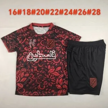Immagine 2 dell’album 2025 Palestine Special Kids Soccer Jerseys