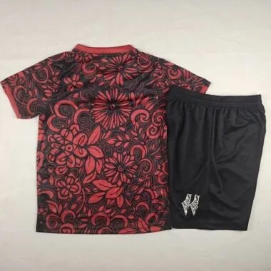 Immagine 3 dell’album 2025 Palestine Special Kids Soccer Jerseys