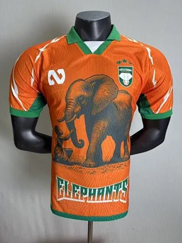 2025 Cote d Ivoire Special Player Version Soccer Jerseys