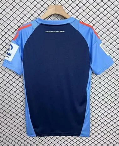 Imagen 2 del álbum 25-26 Hamburger Special Soccer Jerseys