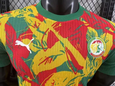Afbeelding 4 van album 2024 Senegal: speciale spelersversies voetbalshirts