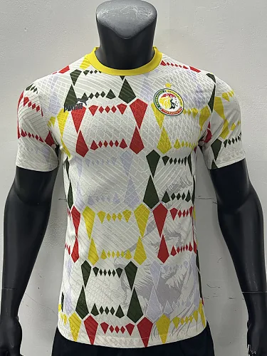 Voetbalshirts voor spelers, trainingsversie, Senegal 2024