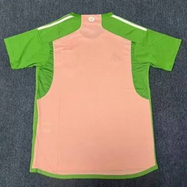 Image 2 de l’album 2023 Japan Training Soccer Jerseys