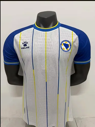 2026 Bosnia and Herzegovina home player version