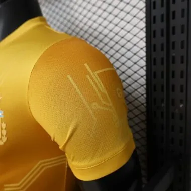 Imagen 2 del álbum Camisetas de fútbol de la selección argentina de 2026-2027 (versión para jugadores)