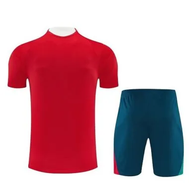 Immagine 6 dell’album 26-27 Portugal Training Soccer Suit