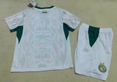 Imagen 2 del álbum Camisetas de fútbol infantil de la selección de Senegal 26-27