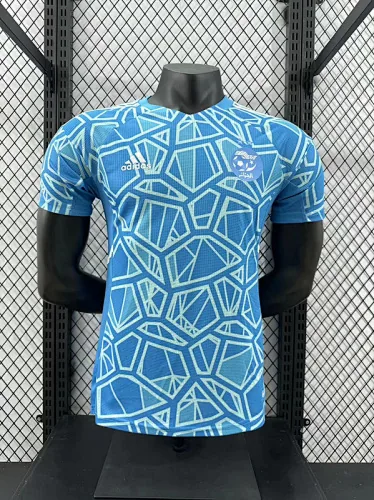2024 Algerije: speciale spelersversie voetbalshirts